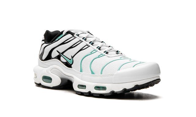 Air Max Plus Atmos