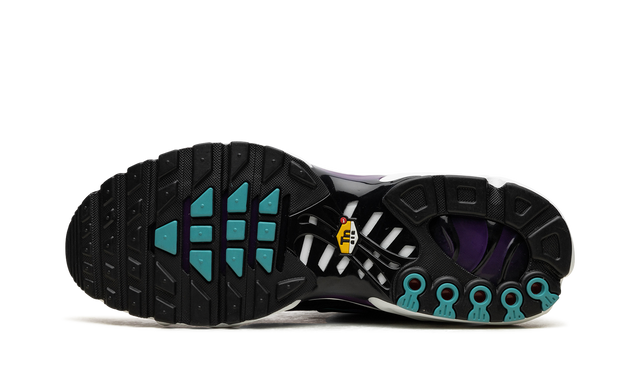 Air Max Plus Reverse Grape