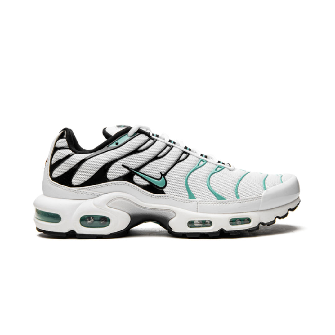 Air Max Plus Atmos