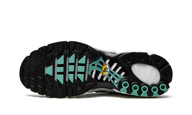 Air Max Plus Atmos