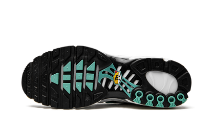 Air Max Plus Atmos