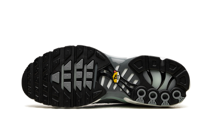 Air Max Plus Waterway